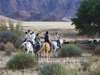 The Desert Homestead - Horse Ride 